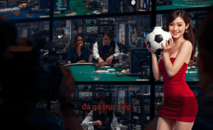 Đá gà trực tiếp